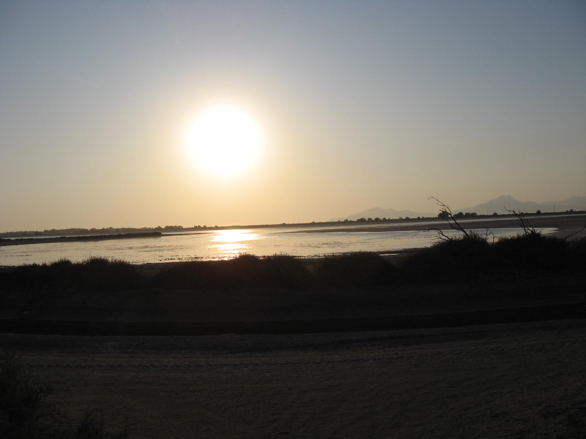 IMG_1126.JPG