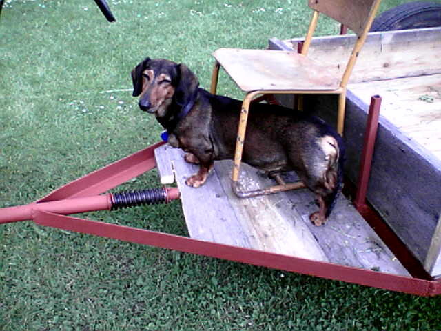 Obraz056.jpg